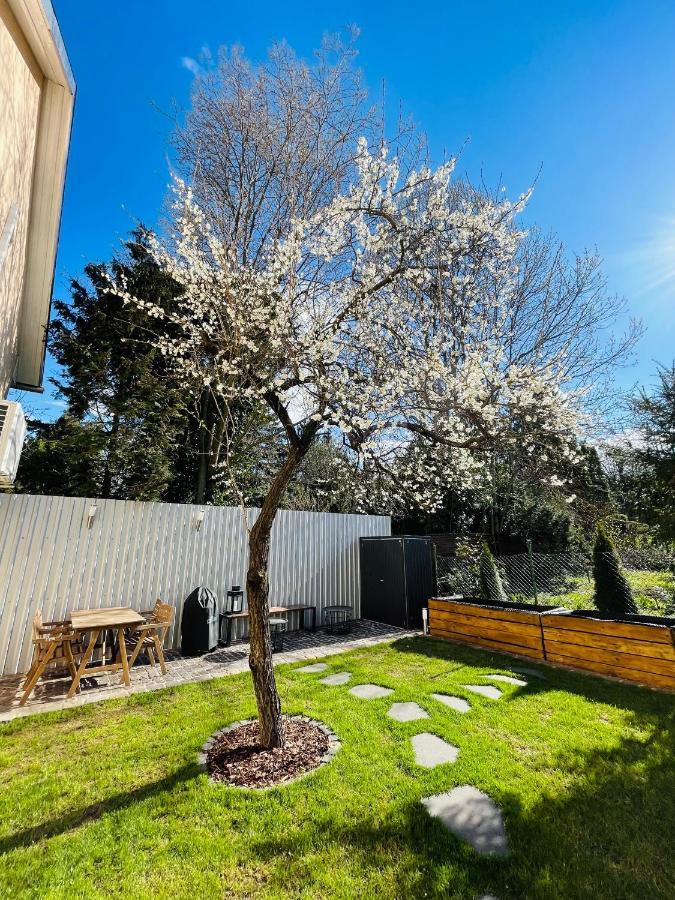 Nest Appartement